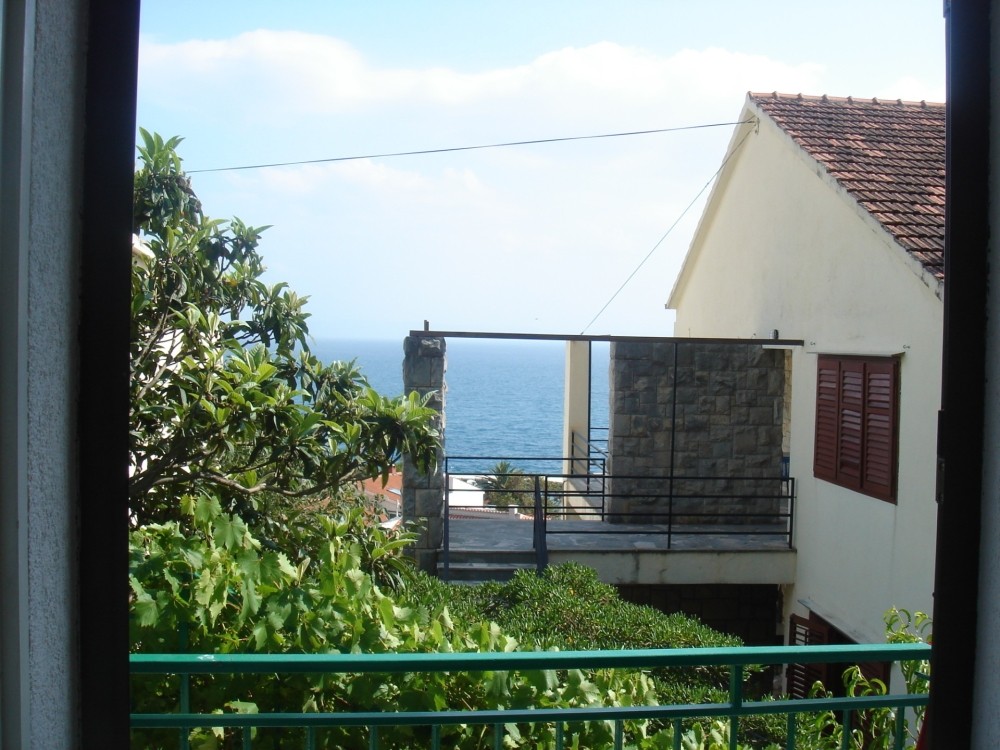 app01_DSC06883.jpg
